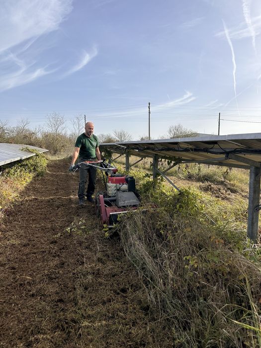 Почистване на дворове, парцели, овощни градини, солари с мулчер