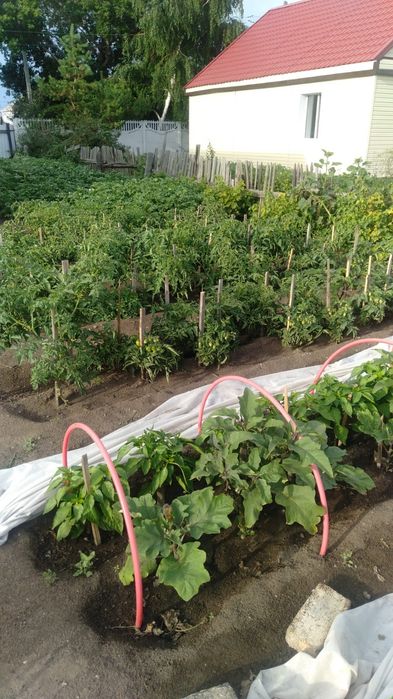 Продается 4х комн.дом.