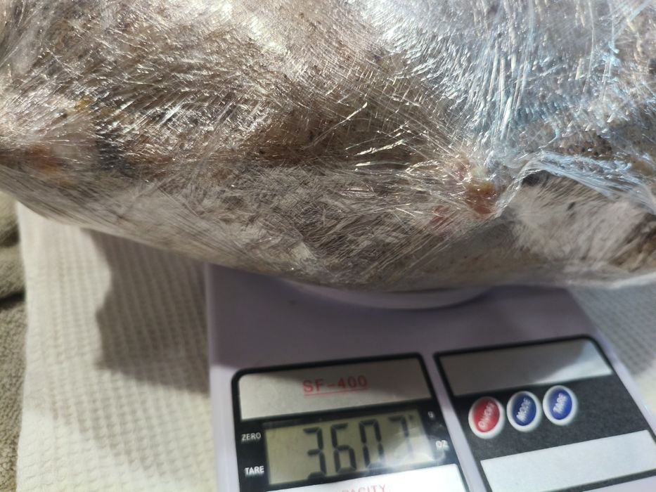 Мясо гусь молодой