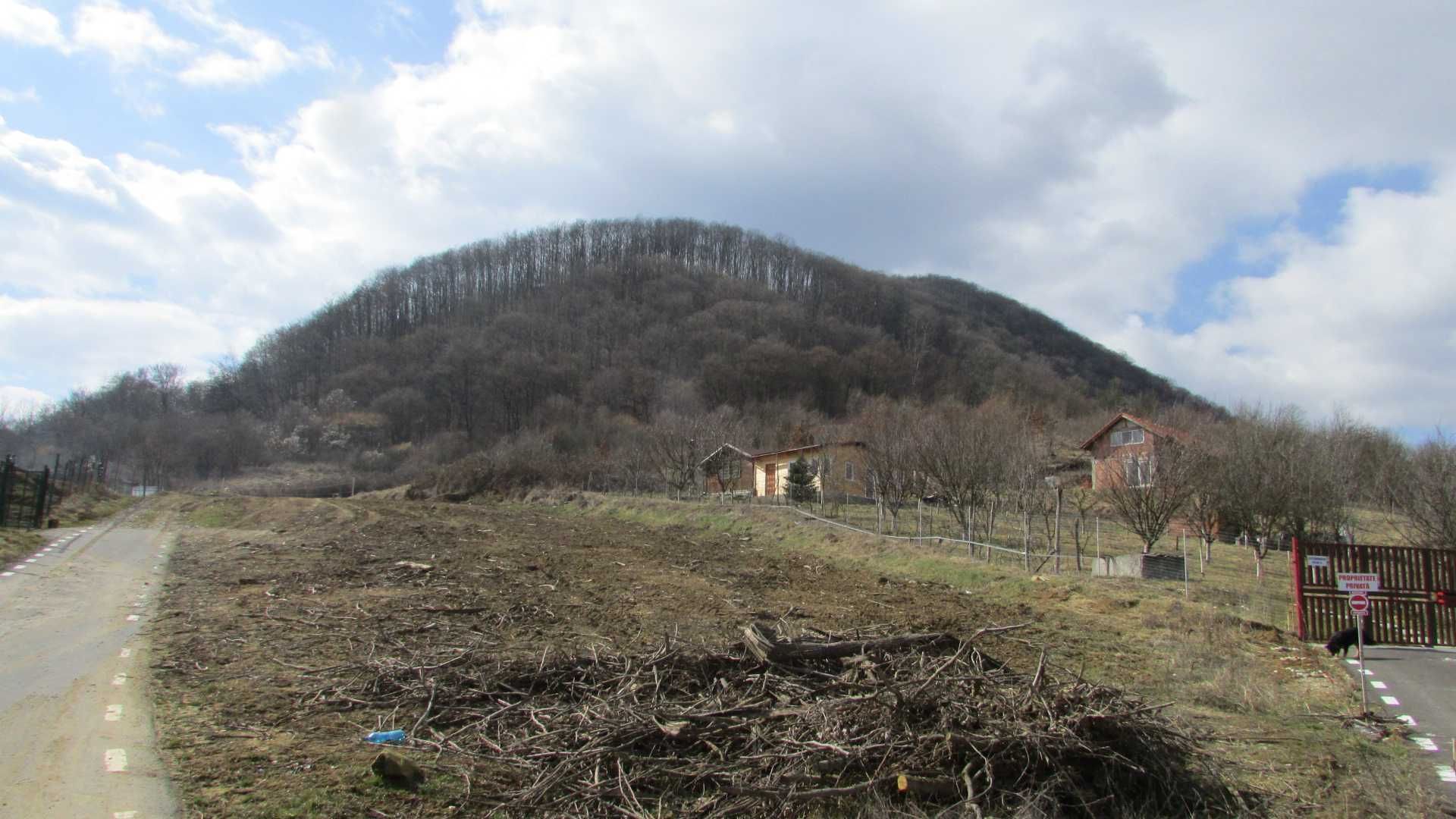 teren arabil , fânaț , livadă  lângă pădure