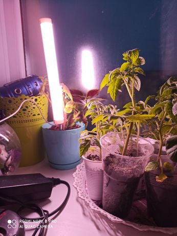 Продам фито- лампу для растений