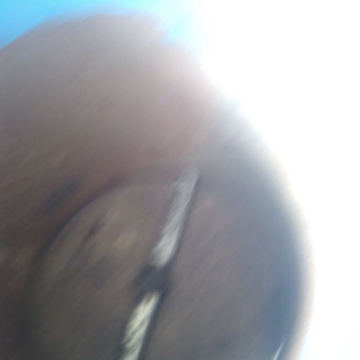 O't maydalaykon  derabilka sotilade mato'rlare rasiski  3-4kv 3ming ab