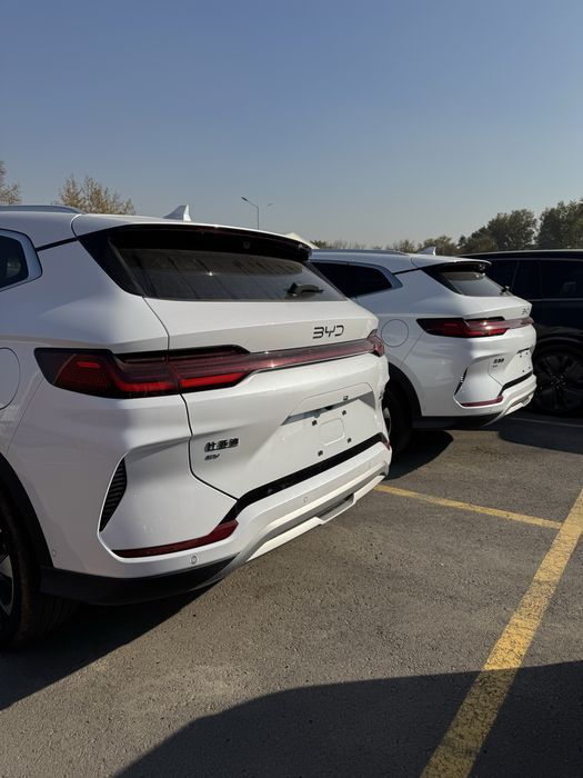 byd champion oq rangi