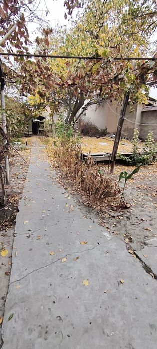 Аренда дом Саракулька транспортный институт