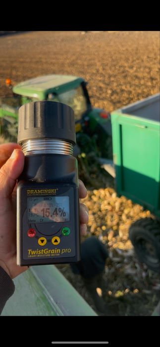 Porumb, malai, cereale. Calitatea 1