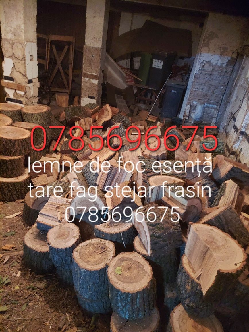 lemne de foc esenta tare stejar frasin carpen fag la tona mc sau palet
