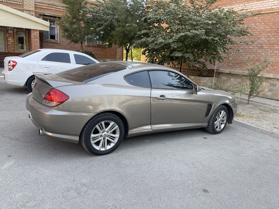 Hunday tuskani yili 2005 yil arendaga beriladi