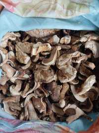 Продам сушёные белые гриб