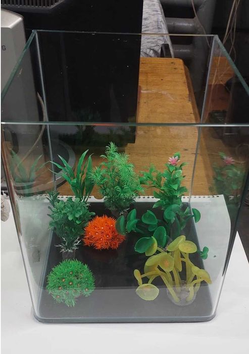 Acvariu Dennerle Nano Cube 20L complet