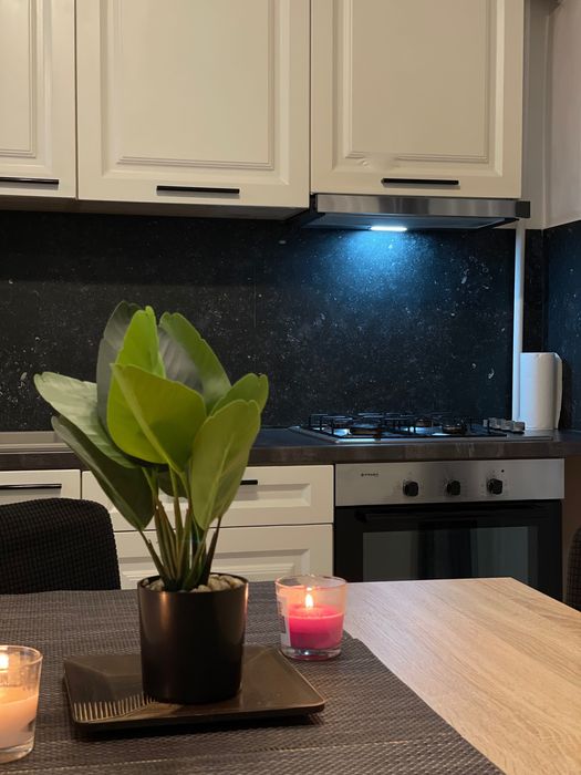 Apartament Cazare Regim Hotelier Lux Grozavesti - Regie Residence