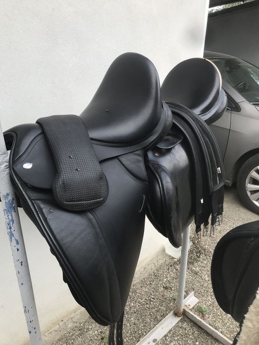 Șa dresaj, frâu, capastru, cizme, toca.