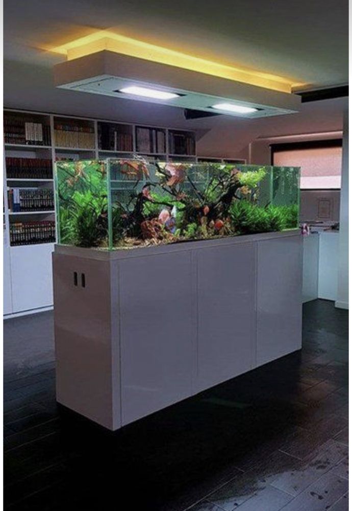 Профессиональное Обслуживание аквариумов