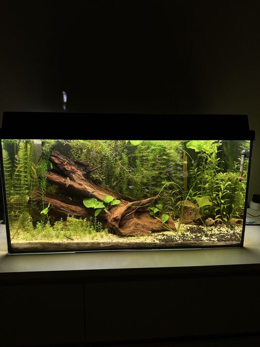 Vand acvariu 130litri complet