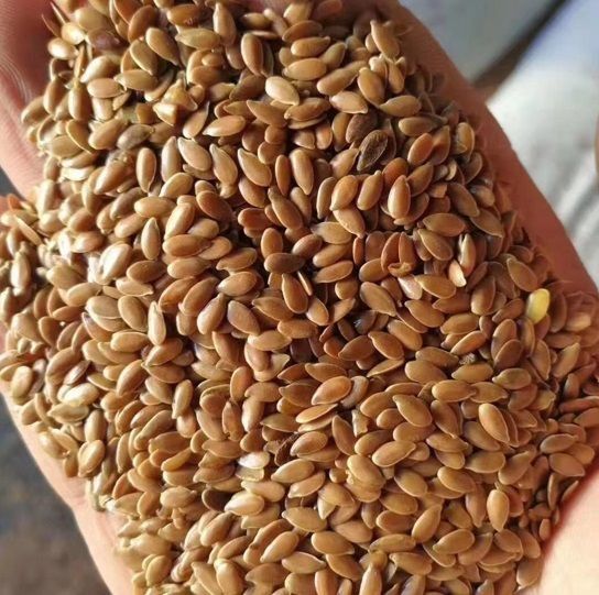 Лён.Ячмень.Пшеница.Сафлор.Итд