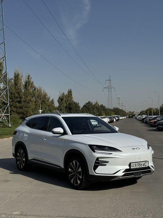 Byd Chempion Restailing 2024/25