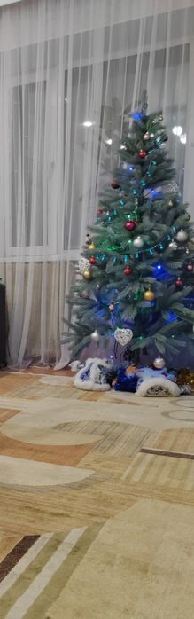 Ёлка  голубая. 180 высота.