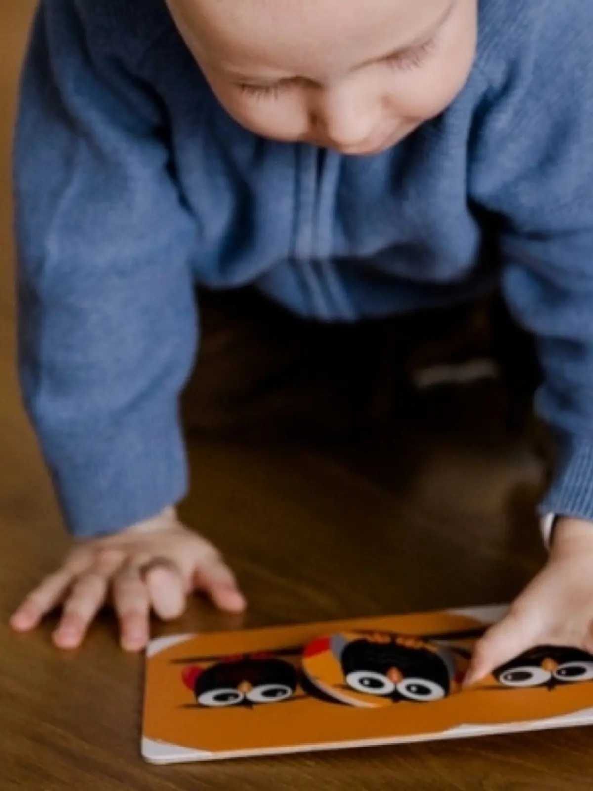 Carduri puzzle jucarie educativa fabricata in EU - animale si culori