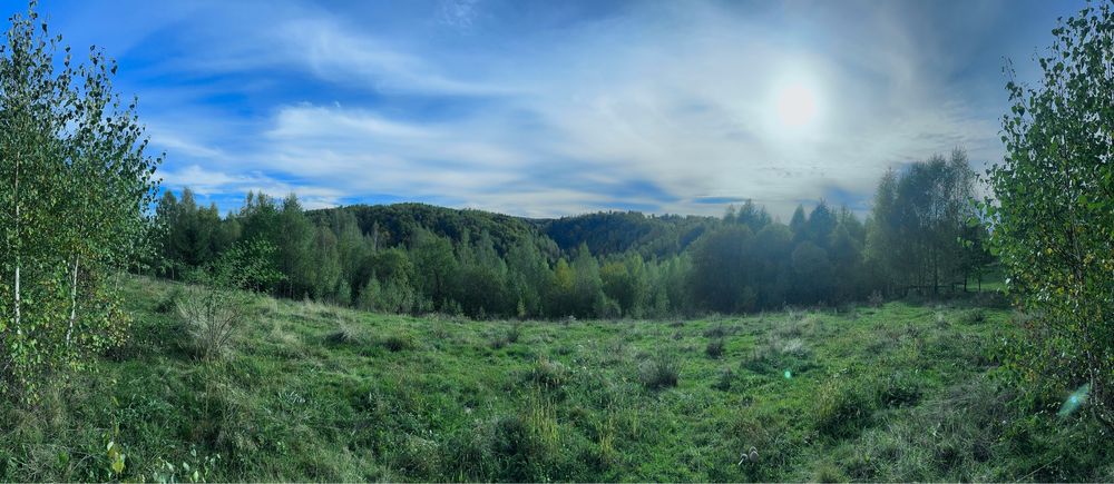 Teren pentru cabana Risca