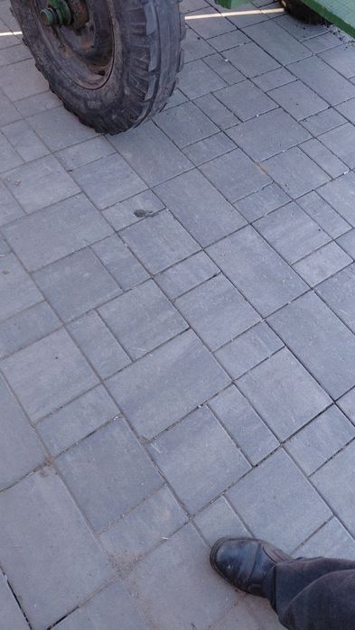 Cal cu căruță de vánzare