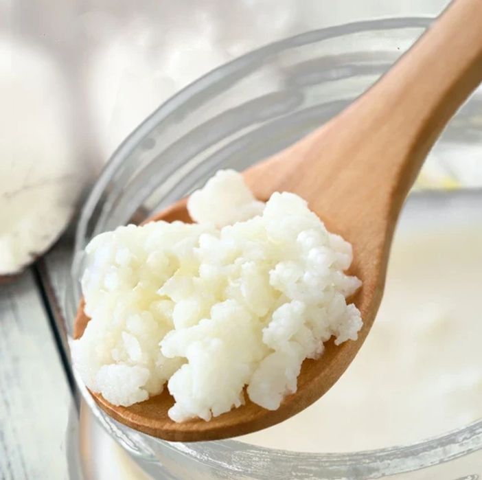 Ciuperca de kefir de lapte