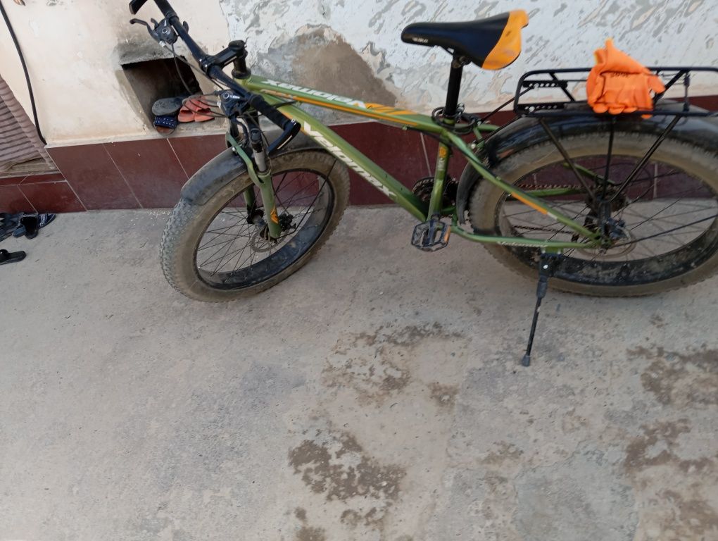 Velosiped gonchik