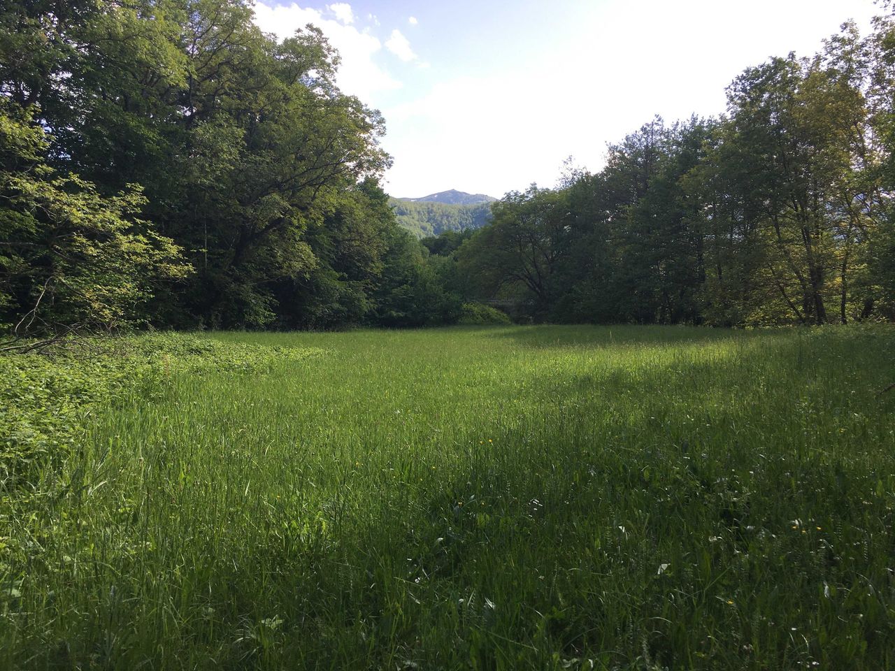 Продава се Парцел в Вършец - 3000 кв.м за 13 €/кв.м - Снимка #2