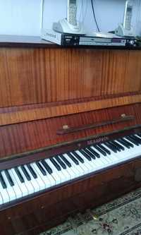 Пианино  Беларусь
