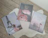 Set de 4 tablouri