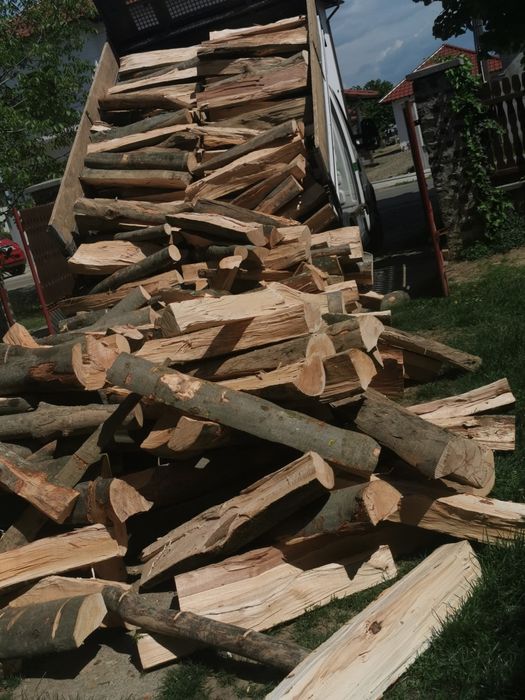 Lemne de foc de esență tare