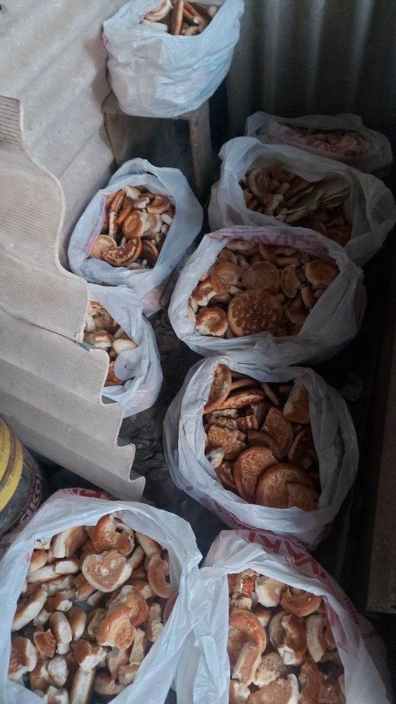 Корм хлеб лепёшки баурсаки отходы для собак, кошек и домашних животных