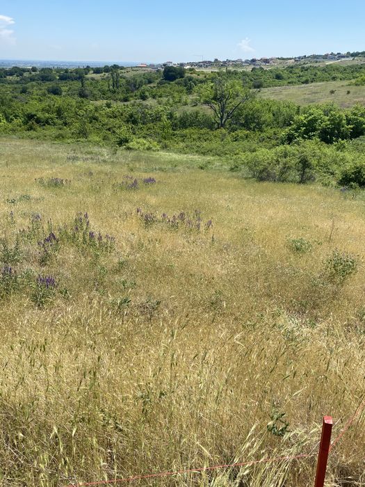 Земеделска земя Белащица/Марково