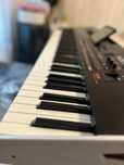 Vand korg pa4x