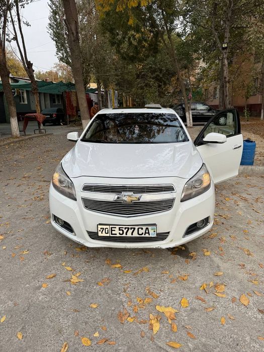 Malibu 1. Pazitsiya 2 lyuki bor 2013god