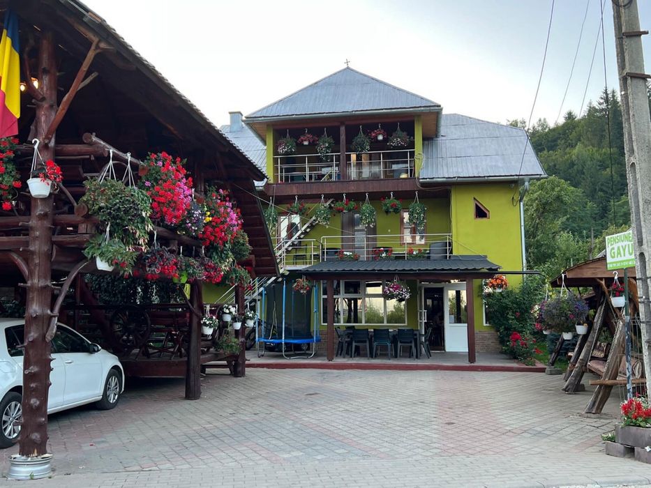 Cabana libera de 1 Decembrie si de Craciun