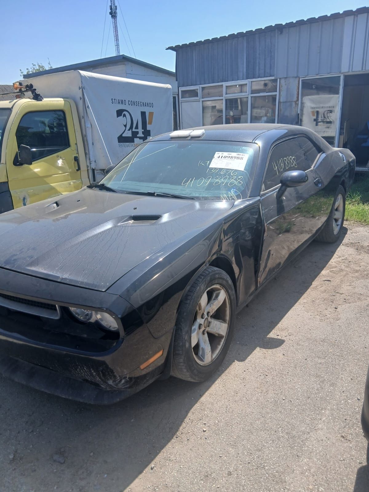 Dodge challenger