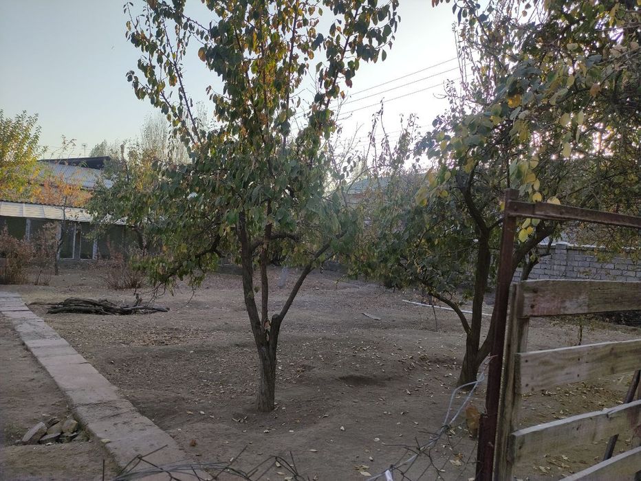 Yangi Oʻzbekiston bogʻiga yaqin joyda yer!