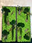 Tablouri cu muschi, licheni si plante naturale stabilizate