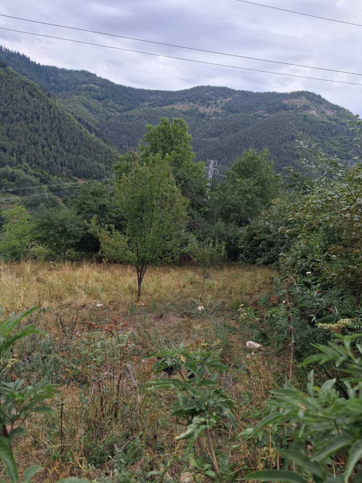 Парцел в с. Джурково
