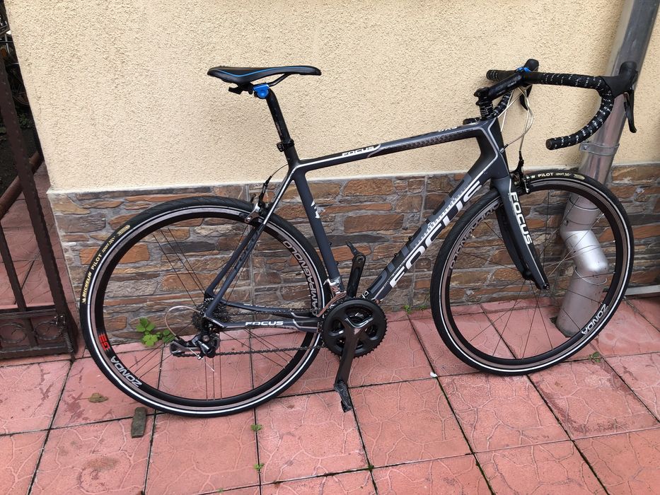 Semicursiera carbon Focus