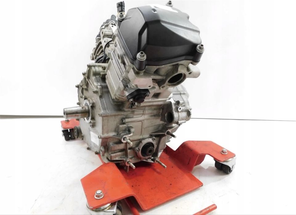 Motor can am 1000