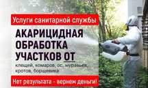 Дезинсекция, уничтожение тараканов, клопов, блох | Гарантия Скидки O-1