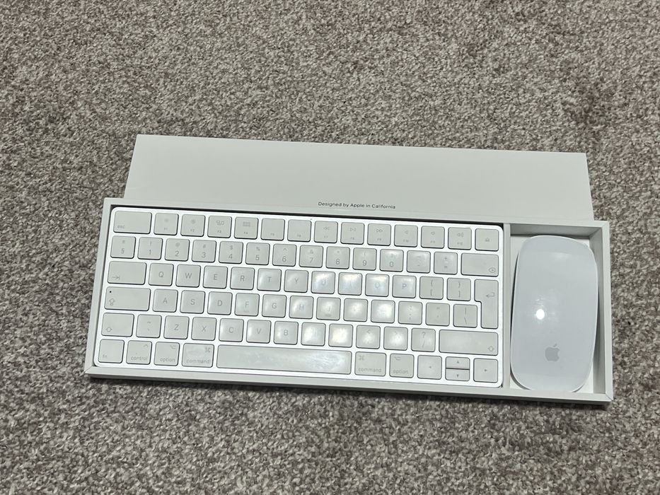 Tastatura si mouse Apple