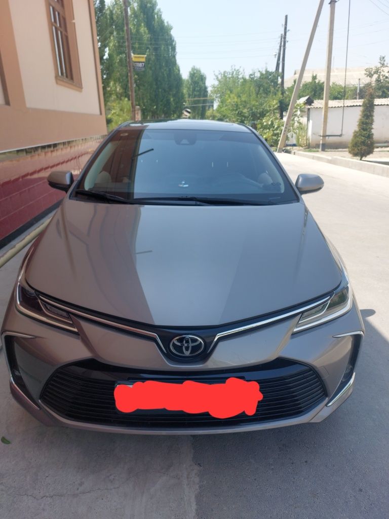 Tayotta carolla luxury edition
