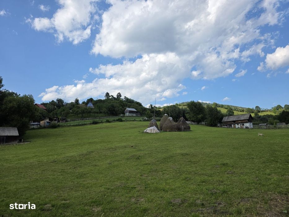 Teren intravilan parcelabil 1000 mp - Rucar, Arges