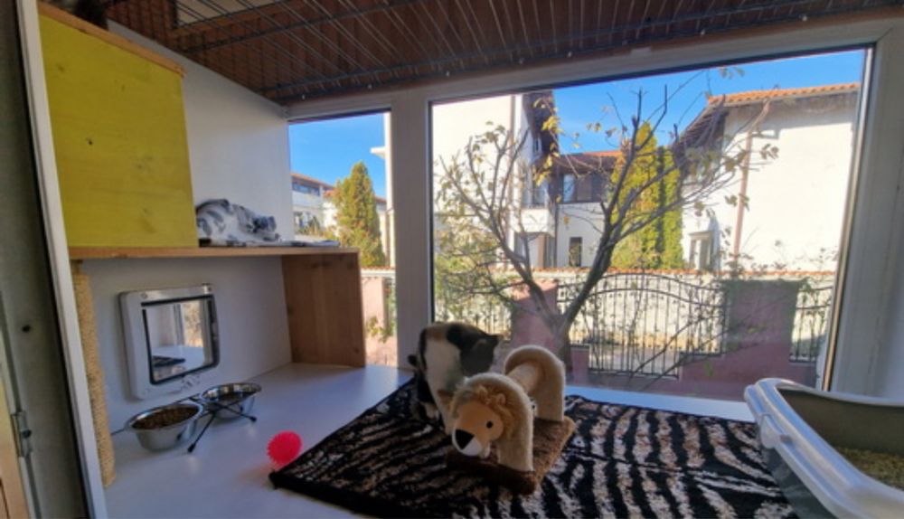 *Cazare / Pet Sister  Pisici-Iepuri-Pasari-Hamsteri-Pesti\Pantelimon*