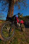 Vand motor suzuki  rmx200 cc