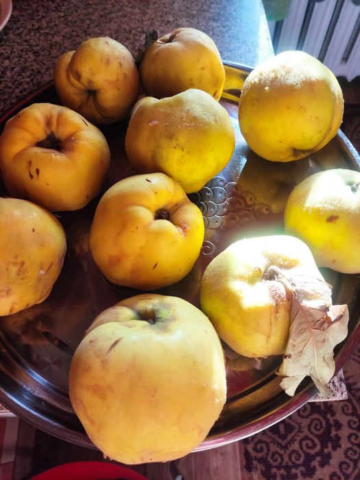 Продам айву местную