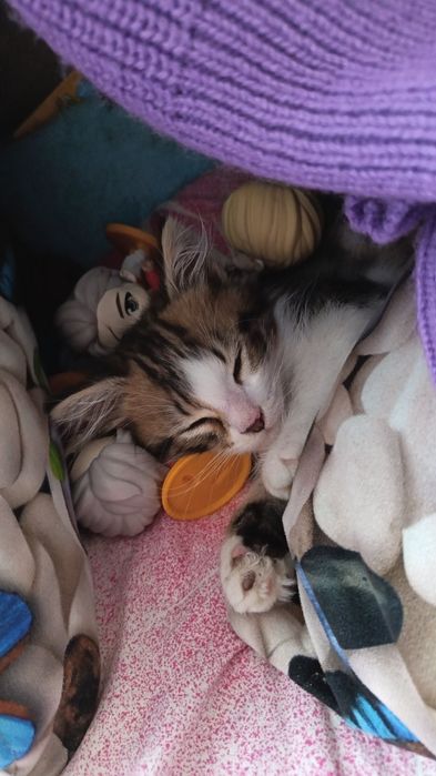 Подарявам бебе Рая