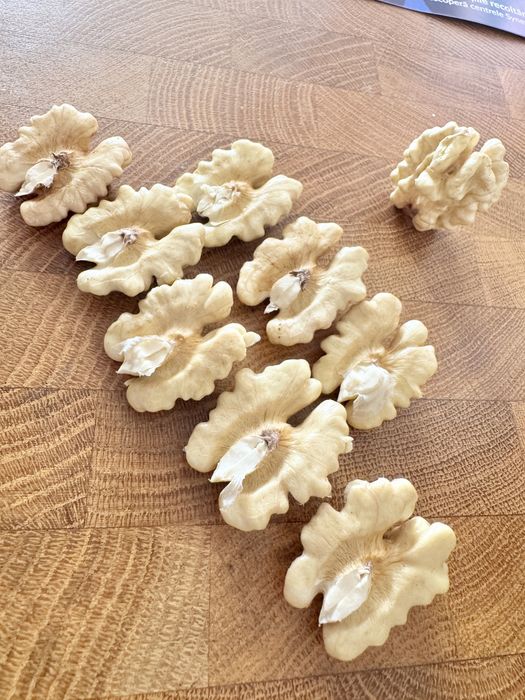 Nuci in coaja productie 2025 FERNOR