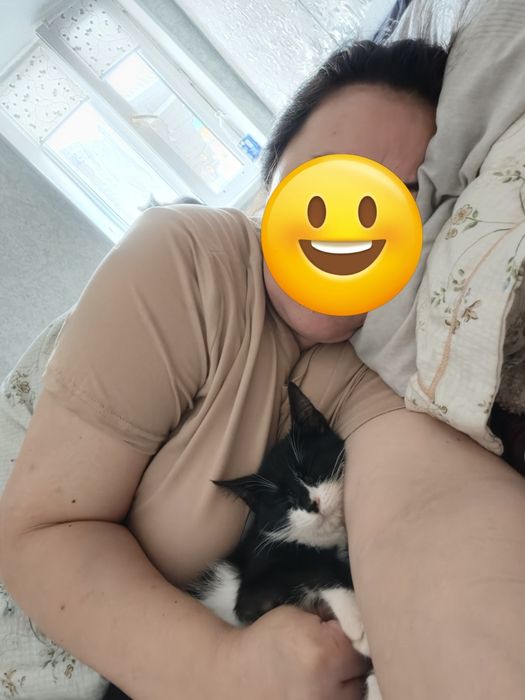 Отдам Котят в добрые руки.